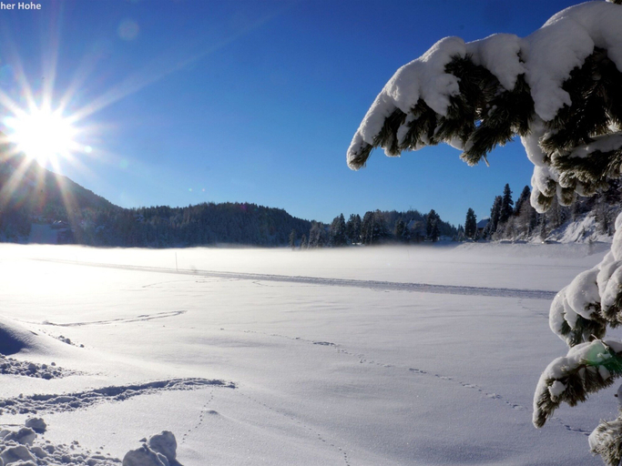 View from property 4, Peaceful Chalet in Turracherhöhe with Indoor Hot Tub, Murau