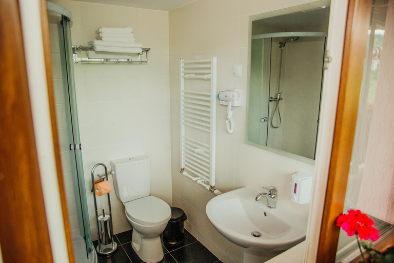 Bathroom 3, Pensiunea Auras, Cozanesti