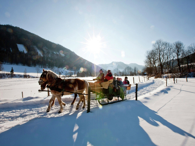 Others 3, Appealing chalet near ski slope, Murau