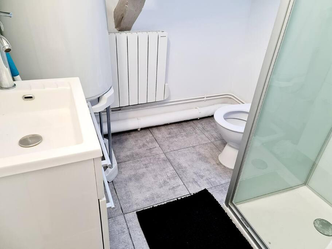 Bathroom, T2 hyper centre de Tours, Indre-et-Loire
