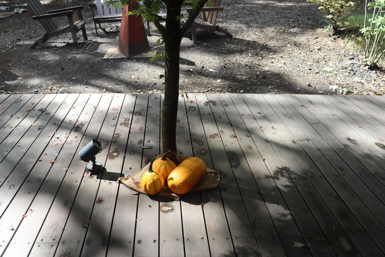 Others 4, SAUNA FOREST CABIN 軽井沢 御代田 A棟 zen-asobi, Miyota