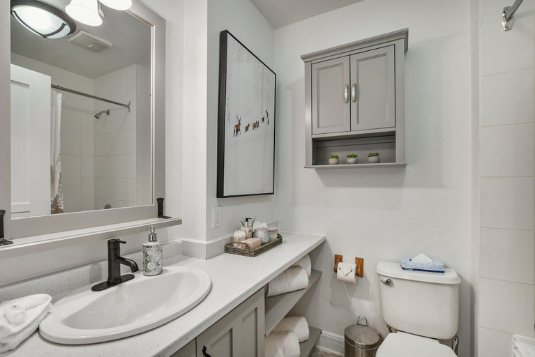 Bathroom 3, Les Falaises - RVMT, Les Laurentides
