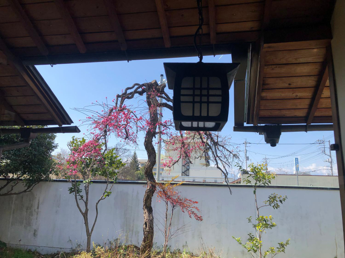 Others 5, フクロウの御宿 石和館, Fuefuki