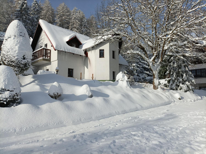 Others 4, Pension DORO, Trutnov