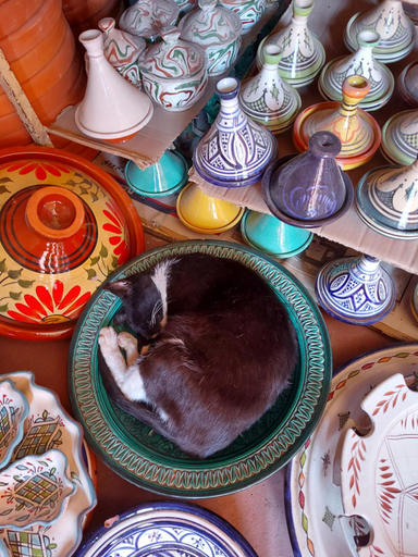 Others 2, Riad dar Karam, Marrakech