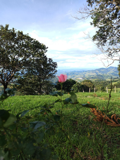 Others 5, Chale Taruma, Paraisópolis