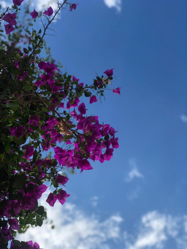 Scenery 4