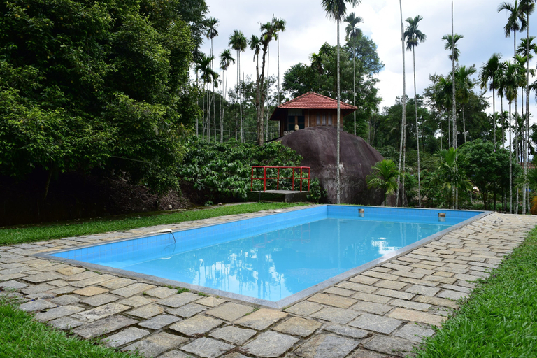 Sport & Beauty 5, Avadale Wayanad - Stag Group Not Allowed, Wayanad