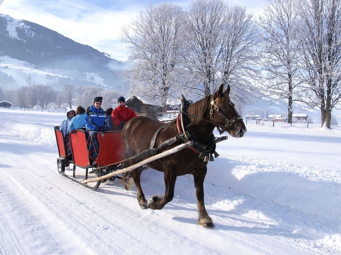 Others 4, Spacious Apartment in Salzburg With Sauna, Zell am See