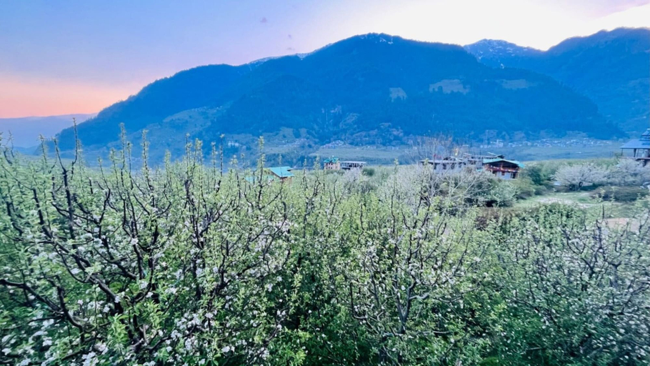 Others 4, Goroomgo Sakura Palace Manali, Kullu