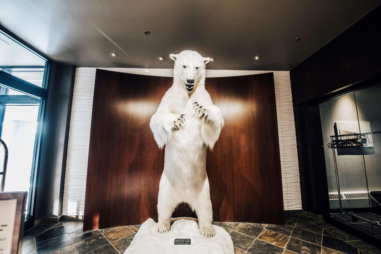 Public Area 2, The Explorer Hotel, Fort Smith