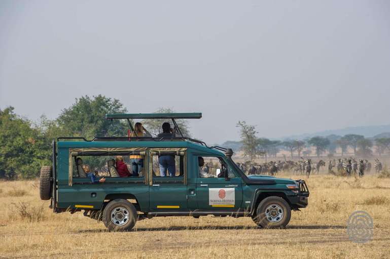 Others 4, Kirawira Serena Camp, Bunda