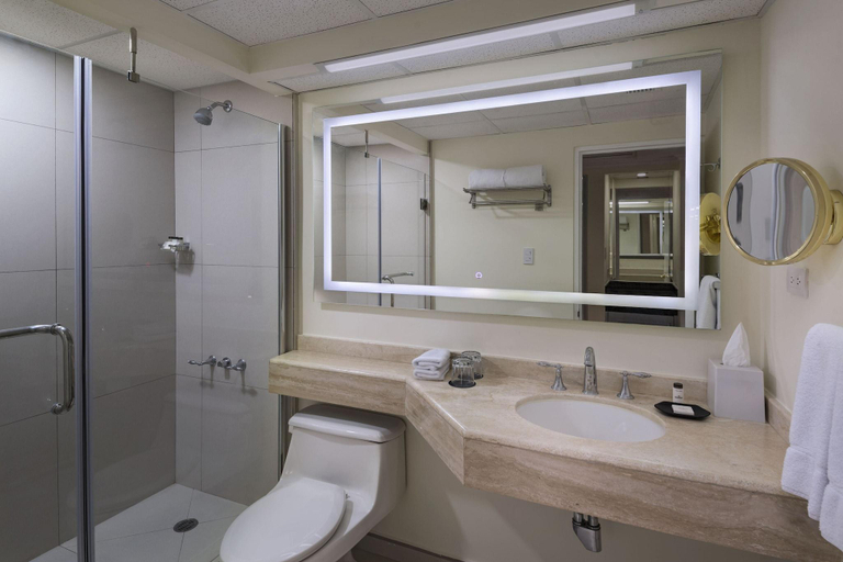 Bathroom 5, Sheraton Presidente, Antiguo Cuscatlán