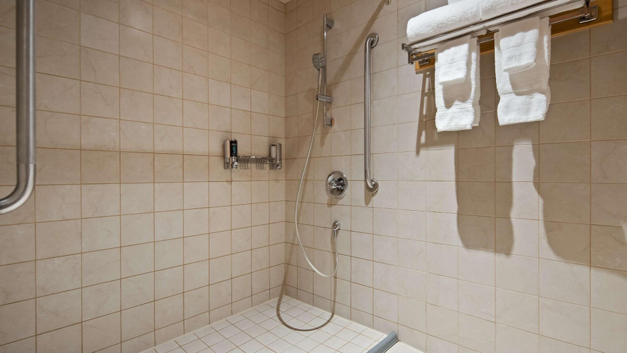Bathroom 5, Best Western Plus Lamplighter Inn & Conference Centre, Middlesex