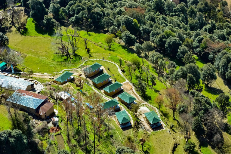 Food & Drinks 3, CBB - Camp Bir Billing, Kangra