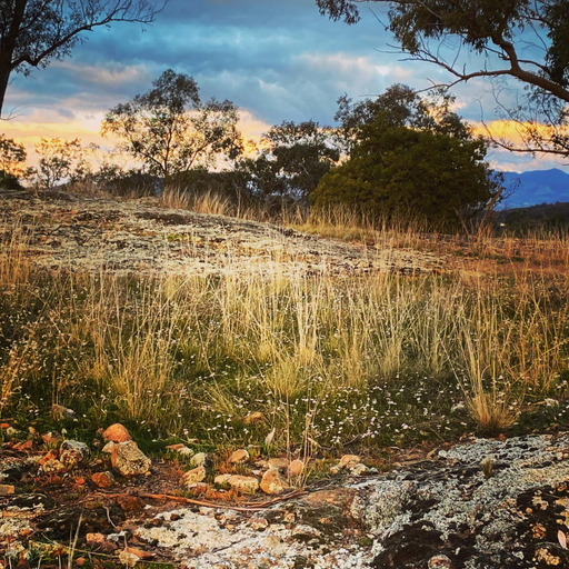 Others 2, Art Shack @ Wilgabah, Liverpool Plains