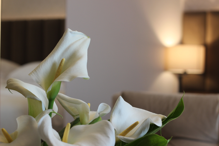 Bedroom 4, Riva Hotel Nisantasi, Beşiktaş