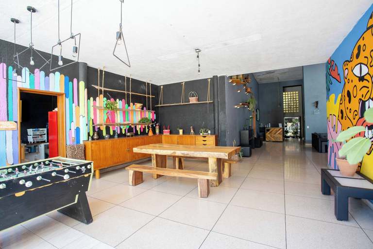 Food & Drinks 5, La Paz & Love Hostel, Guadalajara