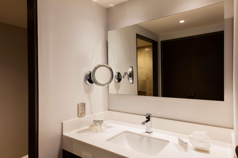 Bathroom 4, Hilton Garden Inn Santa Fe, Huixquilucan