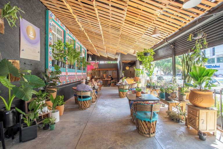 Food & Drinks 5, La Paz & Love Hostel, Guadalajara