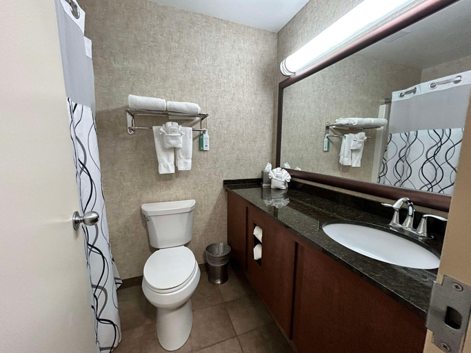 Bathroom 4, Heartland Inn & Suites, Surestay Collection By Bw, Hubbard