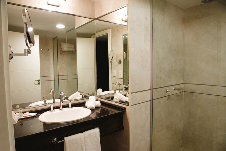 Bathroom 5, Diplomatic Hotel, Capital