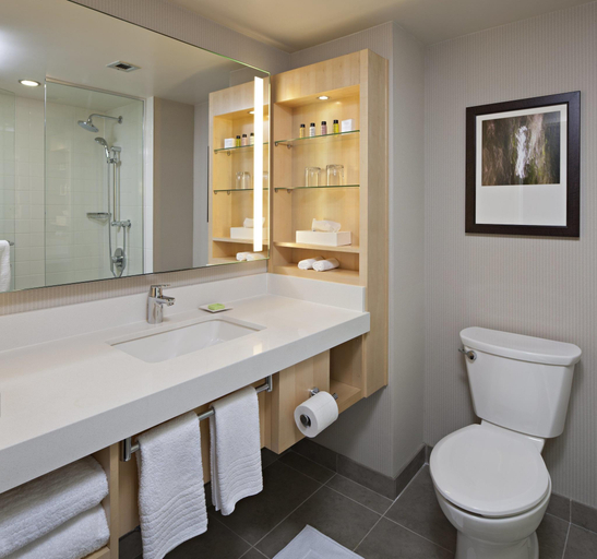 Bathroom 5, Delta Hotels Winnipeg, Division No. 11