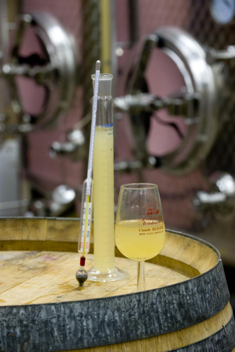 Food & Drinks, Domaine Bleger by Windmuehl, Haut-Rhin