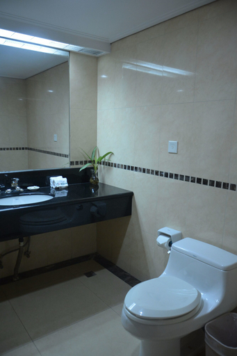 Bathroom 4, Chenzhou International Hotel, Chenzhou
