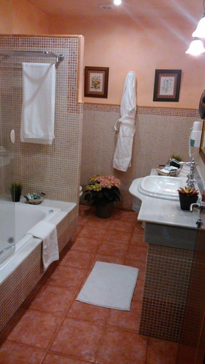 Bathroom 4, Pazo de Bendoiro, Pontevedra