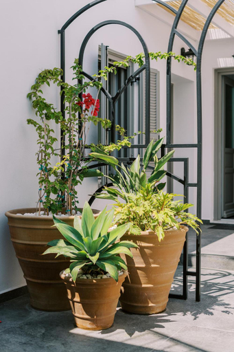 Garden 5, Eurus & Zephyrus Apartments, South Aegean