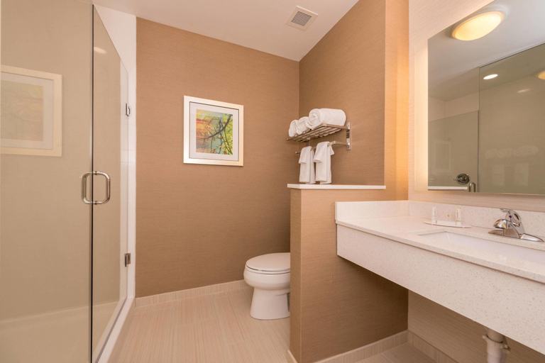 Bathroom 4, Fairfield Inn & Suites by Marriott Huntington, Cabell