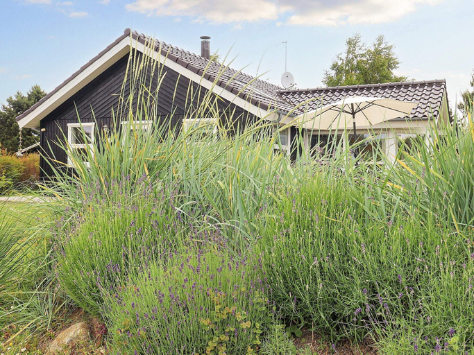 Exterior & Views 2, 4 Star Holiday Home in Vaeggerlose, Guldborgsund