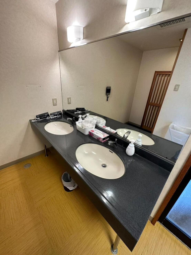 Bathroom, Club Deep Blue, Numazu