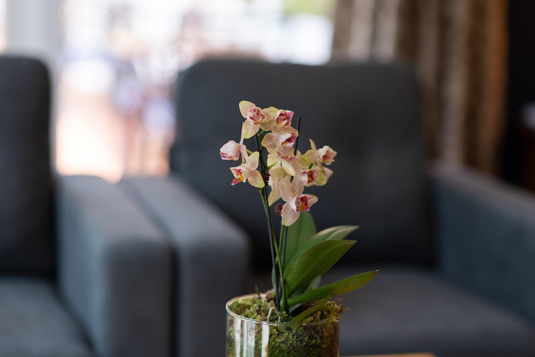 Food & Drinks 4, Pateke Lodge, Far North