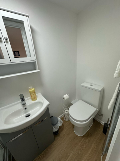 Bathroom 2, The Highmead, Caerphilly