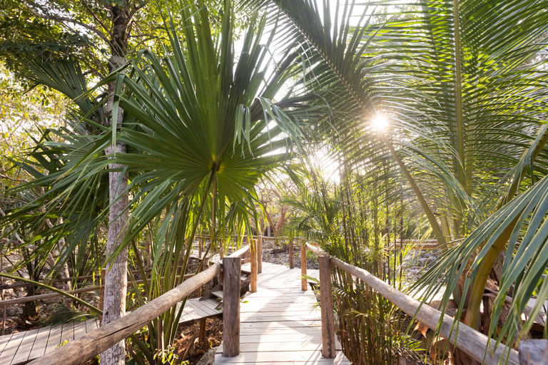 Public Area 3, Pepem Holistic Experience - Peaceful Retreat Near Tulum, Cozumel