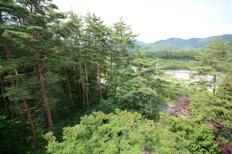 Scenery