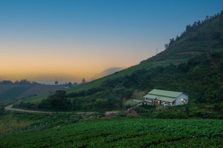 Others 3, Emerald by Nature Resorts and Stays, The Nilgiris