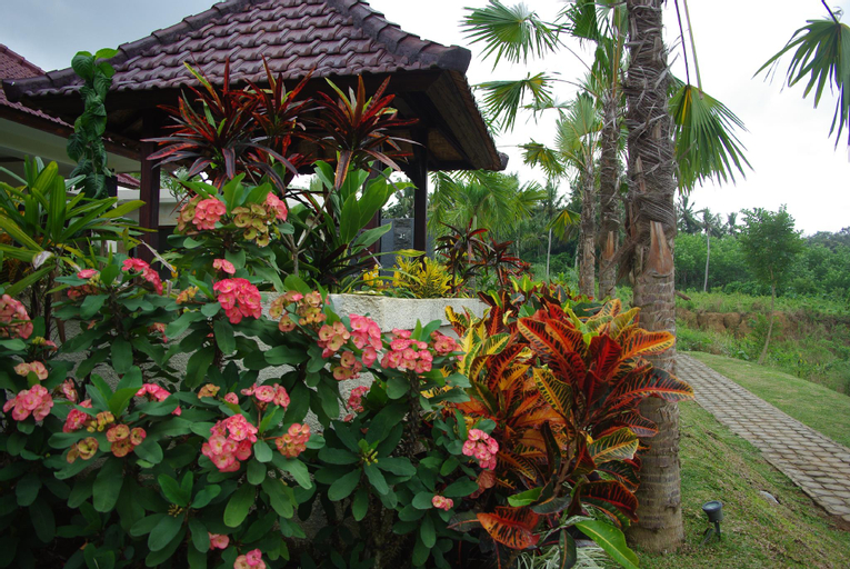 Scenery