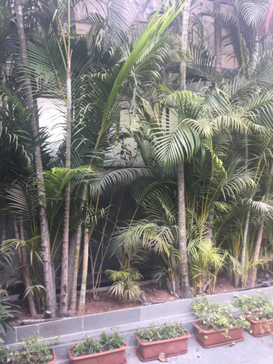 Others 5, Cozy Inn, Pune