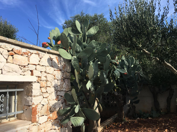 Others 5, Villa Venza, Brindisi