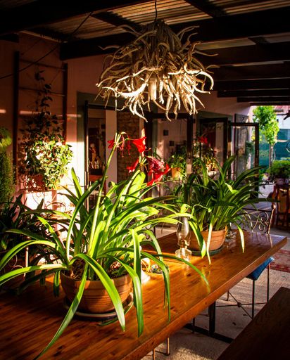 Food & Drinks 4, Ebonymoon Guest House and Studio, West Coast