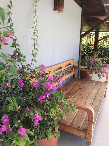 Others 4, Casa Thai, Mata de São João