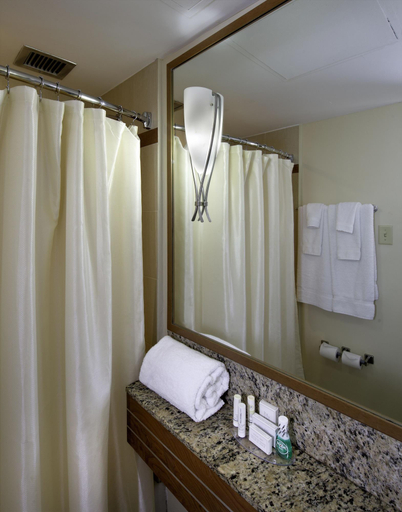 Bathroom, Courtyard San Juan Miramar