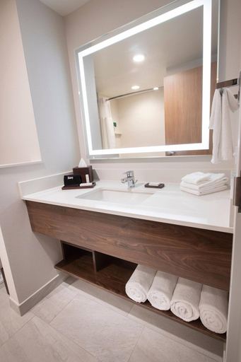 Bathroom 4, Fairfield Edmonton International Airport, Division No. 11