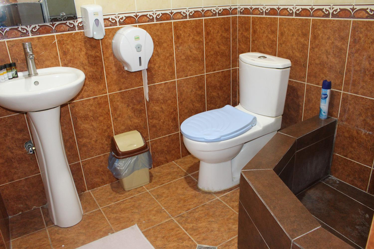 Bathroom 3, 21 На удачу, Gardabani