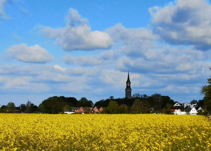 Others 5, Liebevoll hinterm Deich - Ferienwohnungen, Dithmarschen