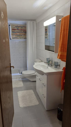 Bathroom, Le palme, Lugano
