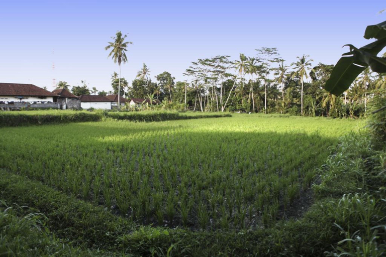 Scenery 8